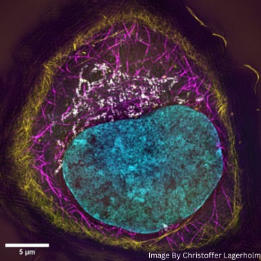 Practical Course on Super-Resolution Microscopy