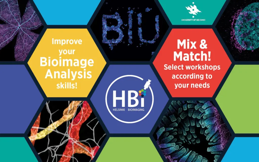 (Image: Images: Satu Paavonsalo, Sinem Karaman and Kirstin Vonderstein - Graphics: Kirstin Vonderstein